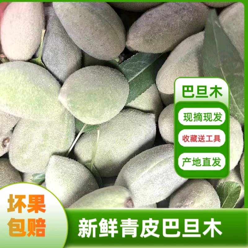 新鲜巴旦木现摘湿巴旦木带青皮生巴旦木绿皮扁桃仁新鲜大杏仁