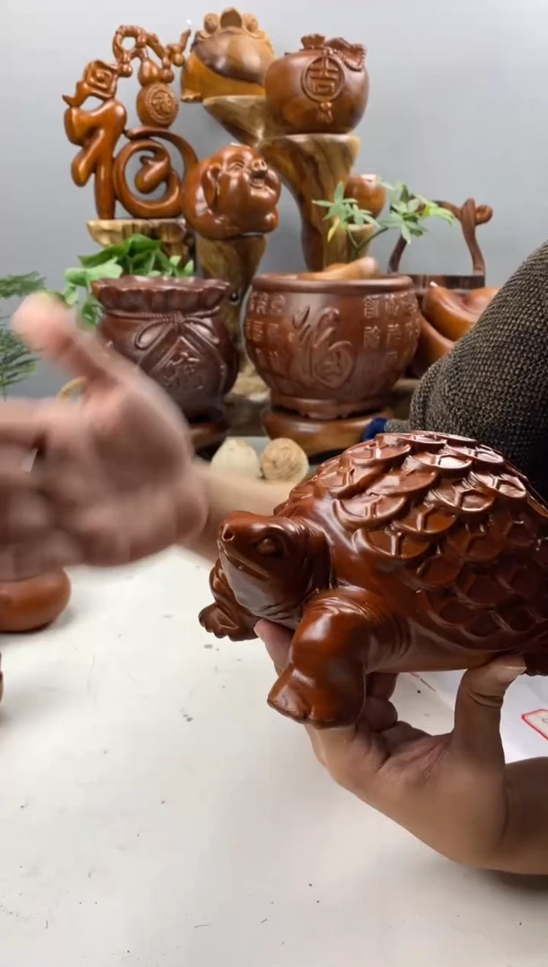 香樟木75香樟木金钱龟