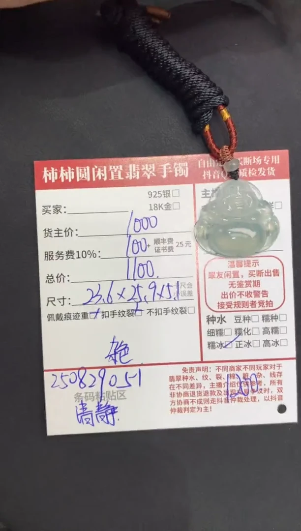 颈饰未镶嵌翡翠清**高姐姐250829051