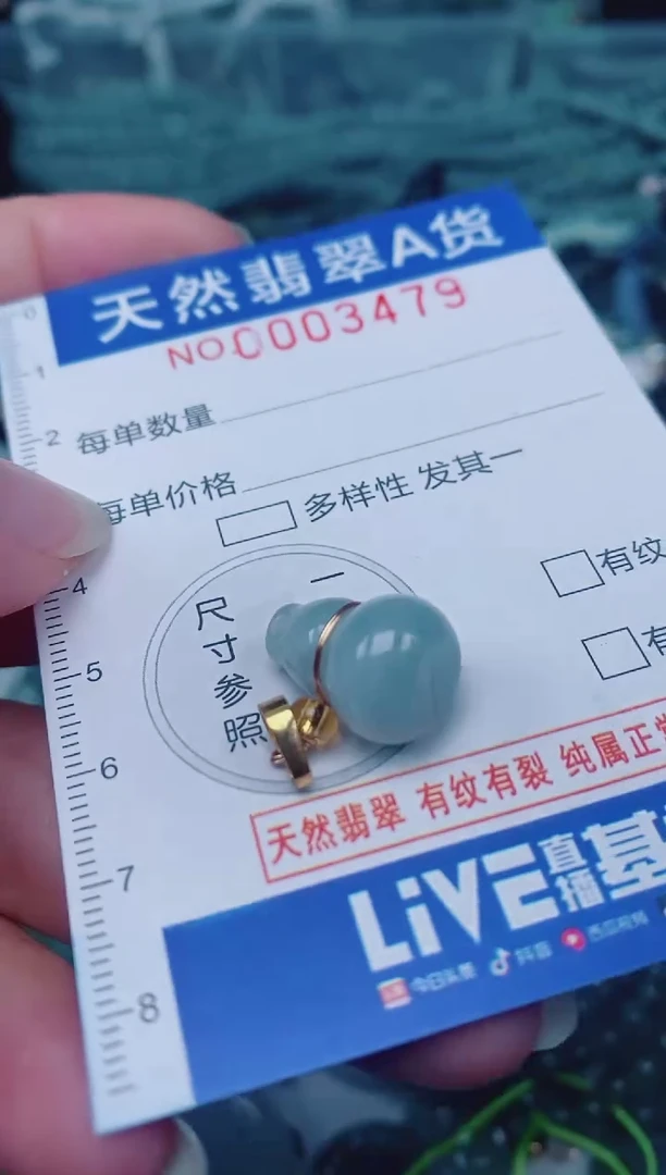 颈饰未镶嵌翡翠00003479