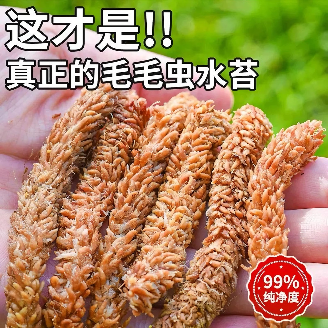 乌龟舒适过冬眠垫材水苔保湿蓬松透气大尺寸不掉屑