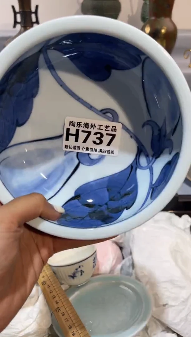 瓷片菱*           H737
