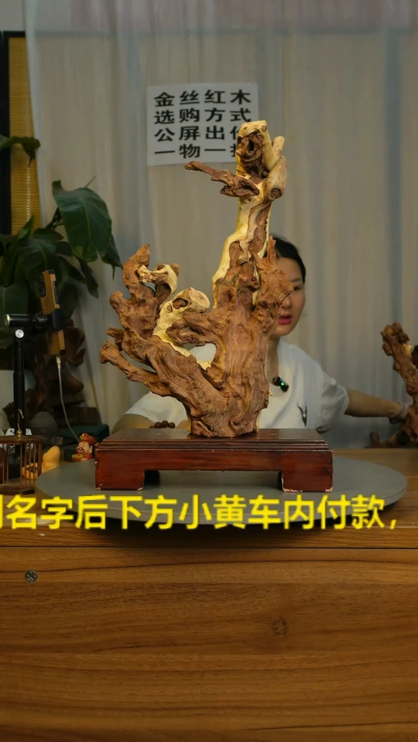 木?**?云南红河金丝红313