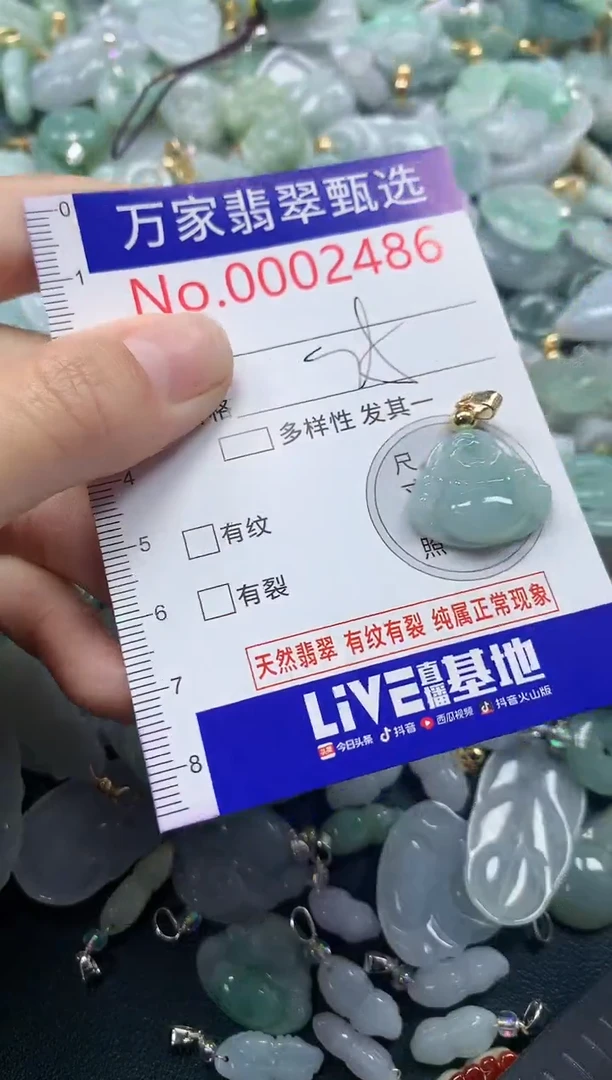 吊坠(不含链)未镶嵌翡翠2486