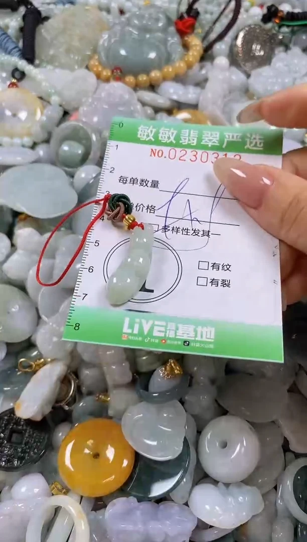 翡翠未镶嵌颈饰闪购0230312多样性发其一