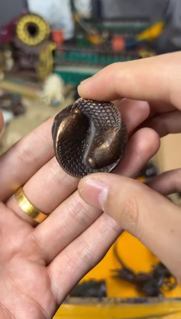 【闪购商品】主播推荐主播推荐