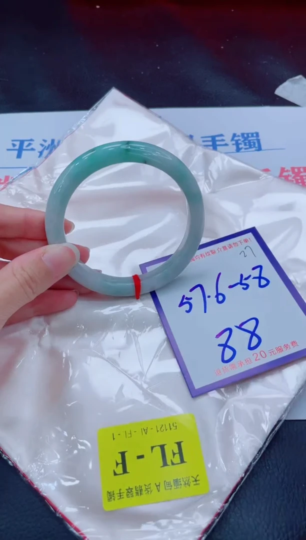 未镶嵌手镯翡翠11111111