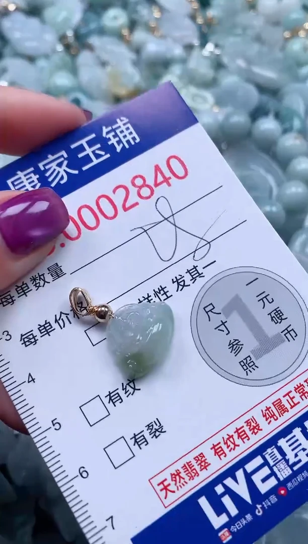 颈饰未镶嵌翡翠2840