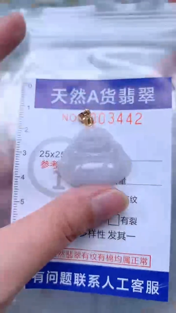 翡翠未镶嵌吊坠(不含链)1