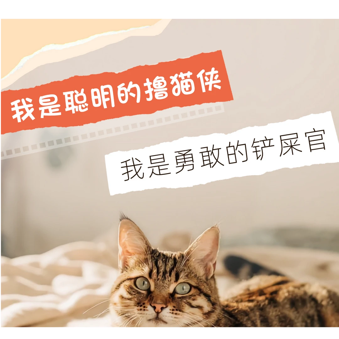 小狗S10家用宠物猫毛狗毛清洁按摩低噪音理毛吸毛吸尘器