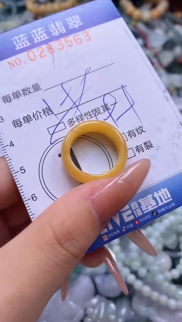 翡翠未镶嵌颈饰闪购0283563多样性发其一