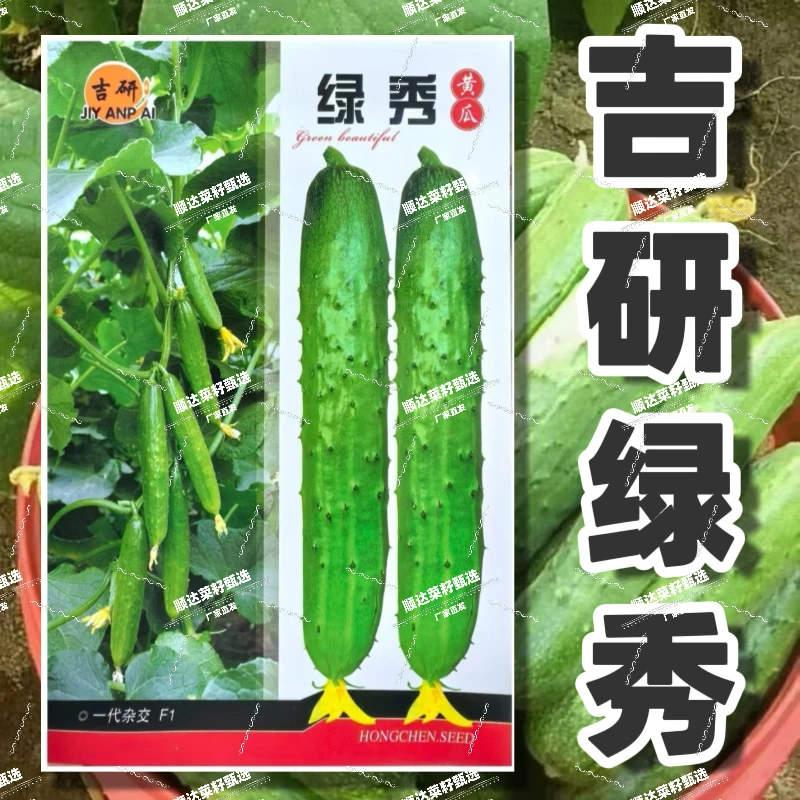【吉研绿秀】黄瓜种子