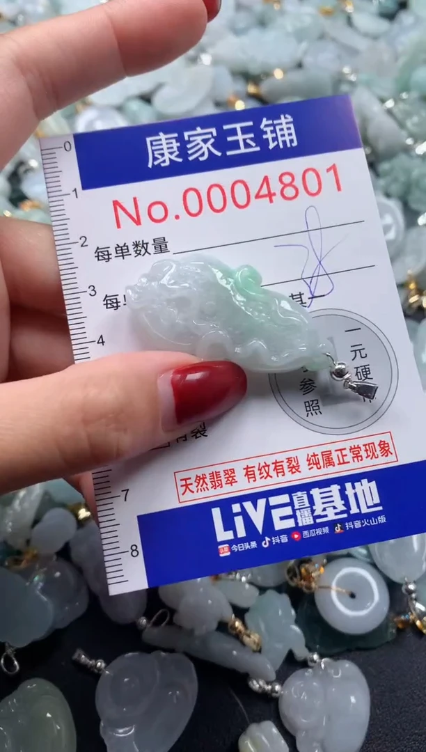 颈饰未镶嵌翡翠4801