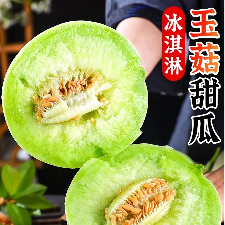 【带箱5斤玉菇冰淇淋瓜】玉菇甜瓜软糯香甜冰淇淋口感新鲜当季鲜甜.