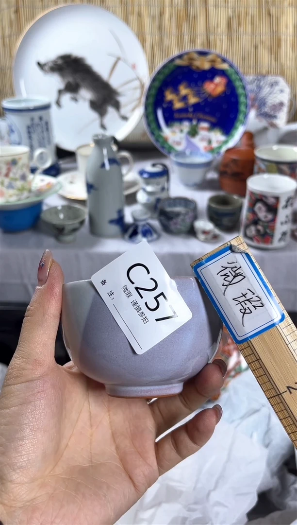 【闪购商品】碟               c257