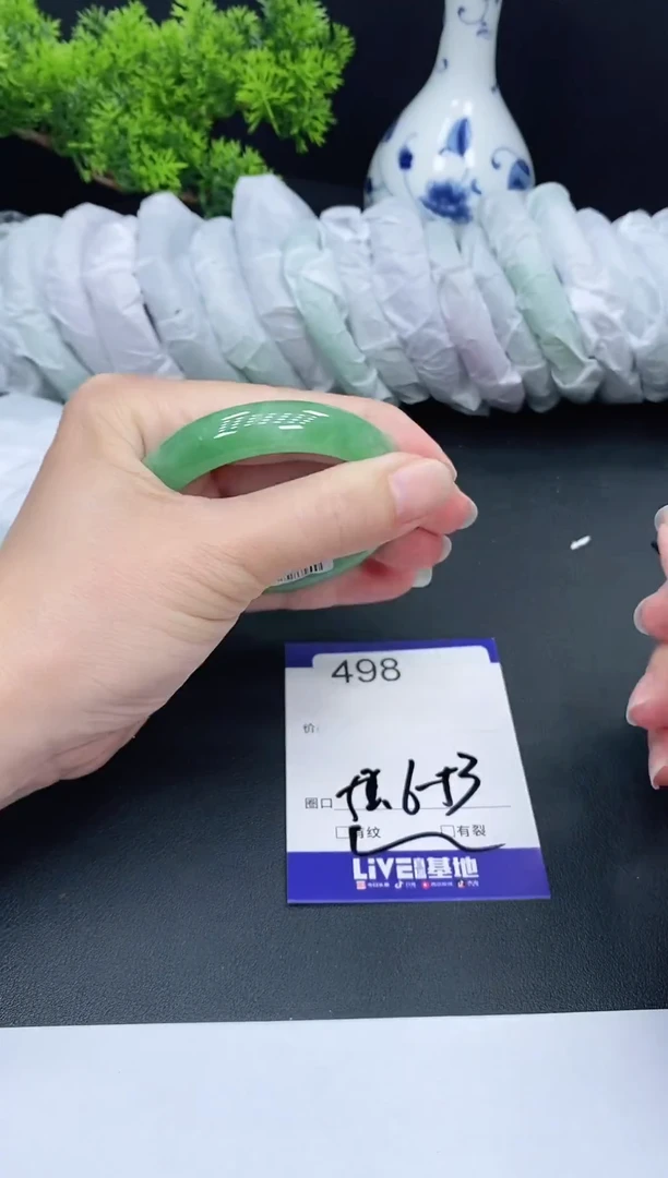 未镶嵌手镯翡翠498