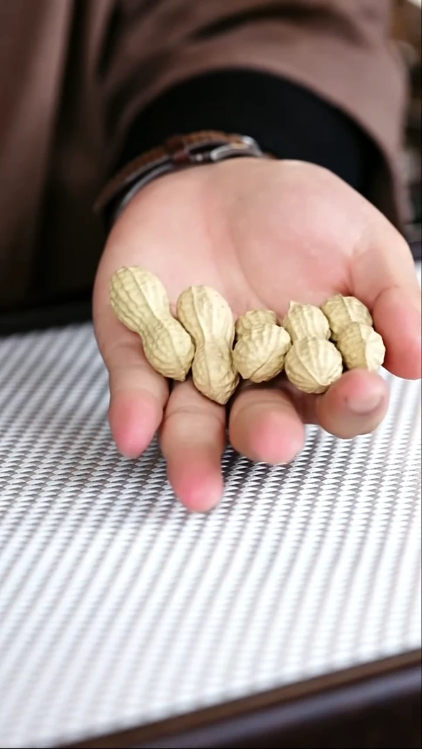 宜兴紫砂茶宠5个花生