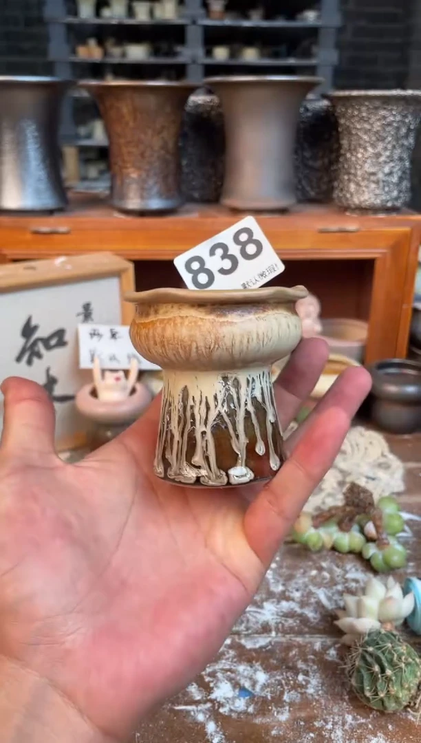 瓷片838小芳直播 编号