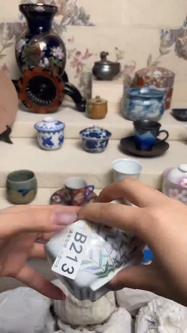 陶瓷瓷片    B213