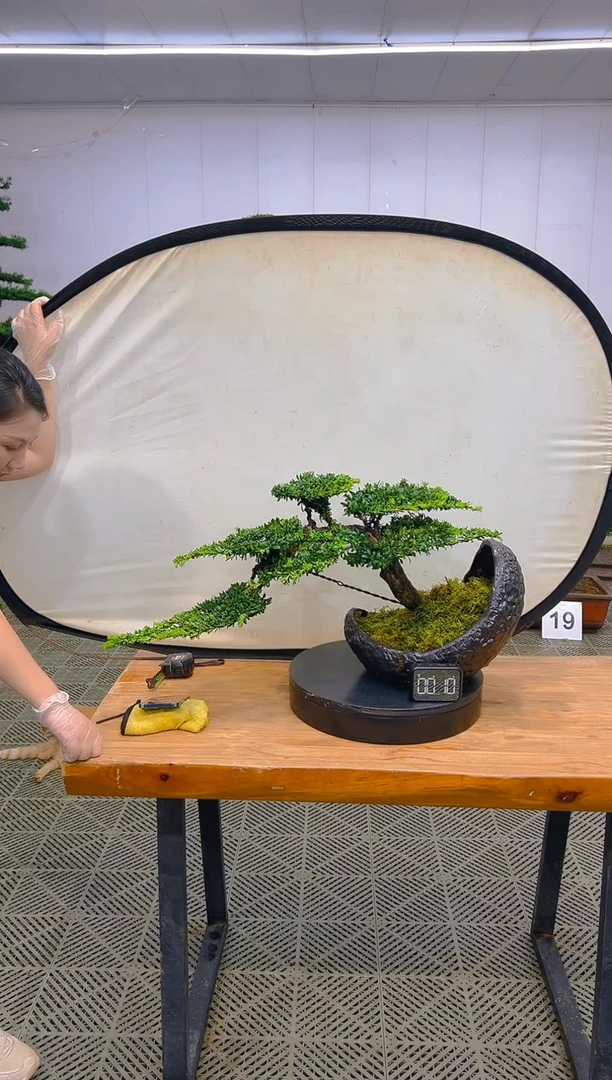 无花朵一物一拍一物一拍
