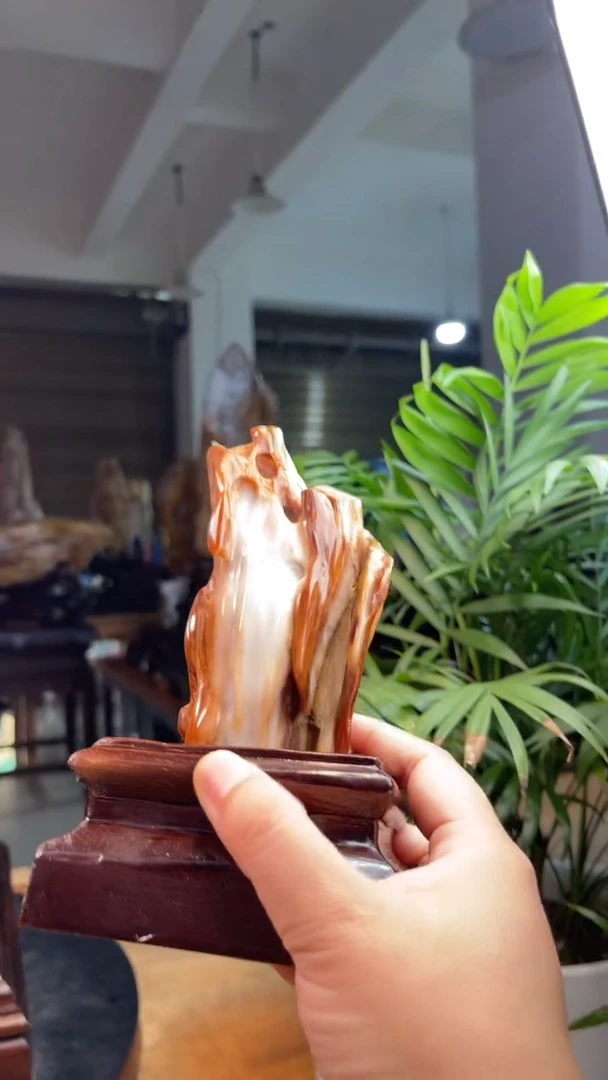 未镶嵌硅化玉（树化玉）珠宝奇石寻*人3125