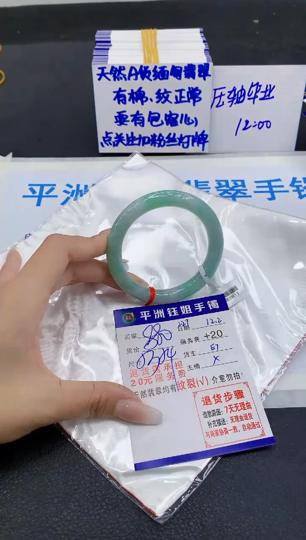 未镶嵌手镯翡翠1