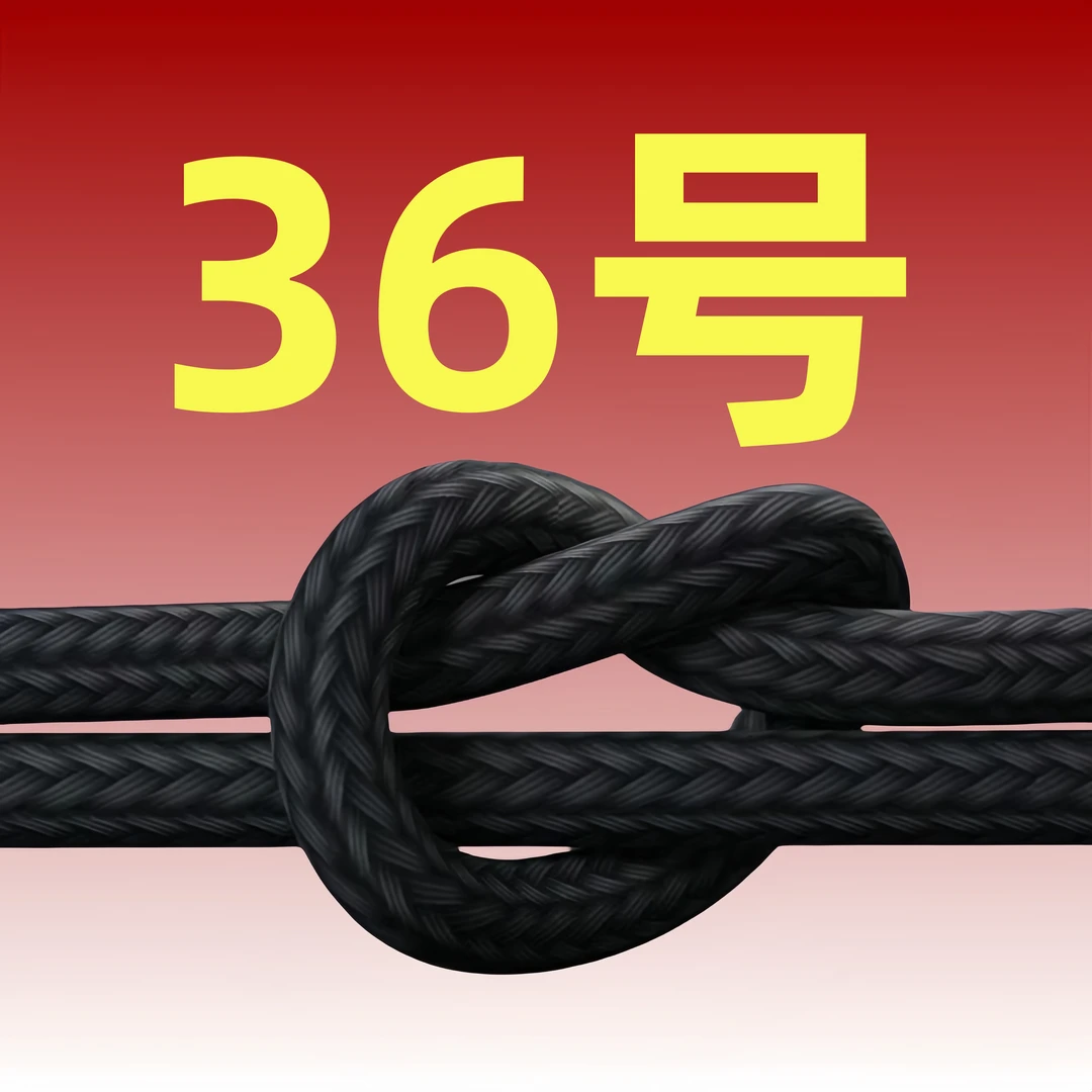 数据线-以直播间讲解为准（36号）