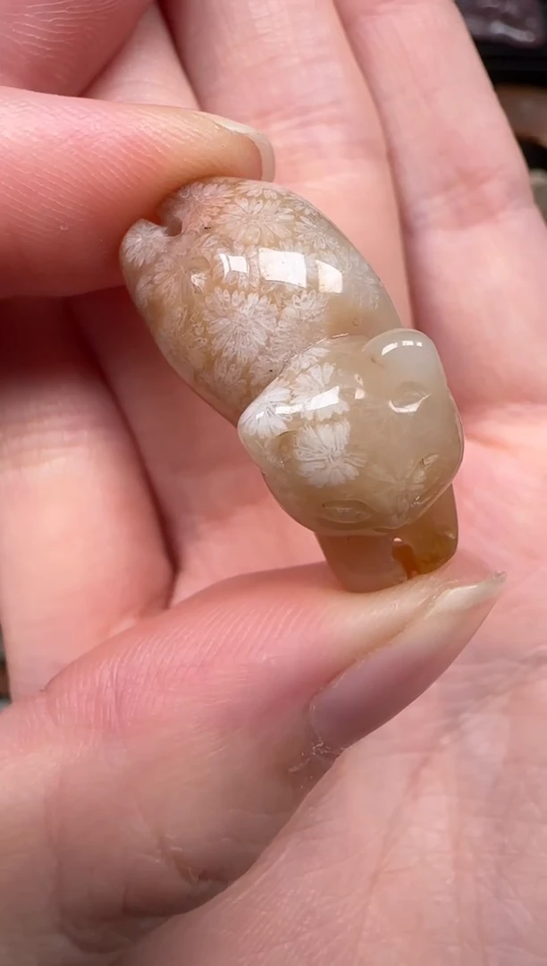 颈饰未镶嵌硅化珊瑚（珊瑚玉）840