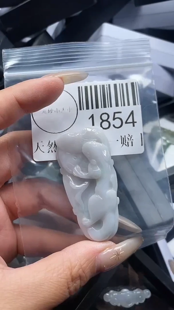 颈饰未镶嵌翡翠1854