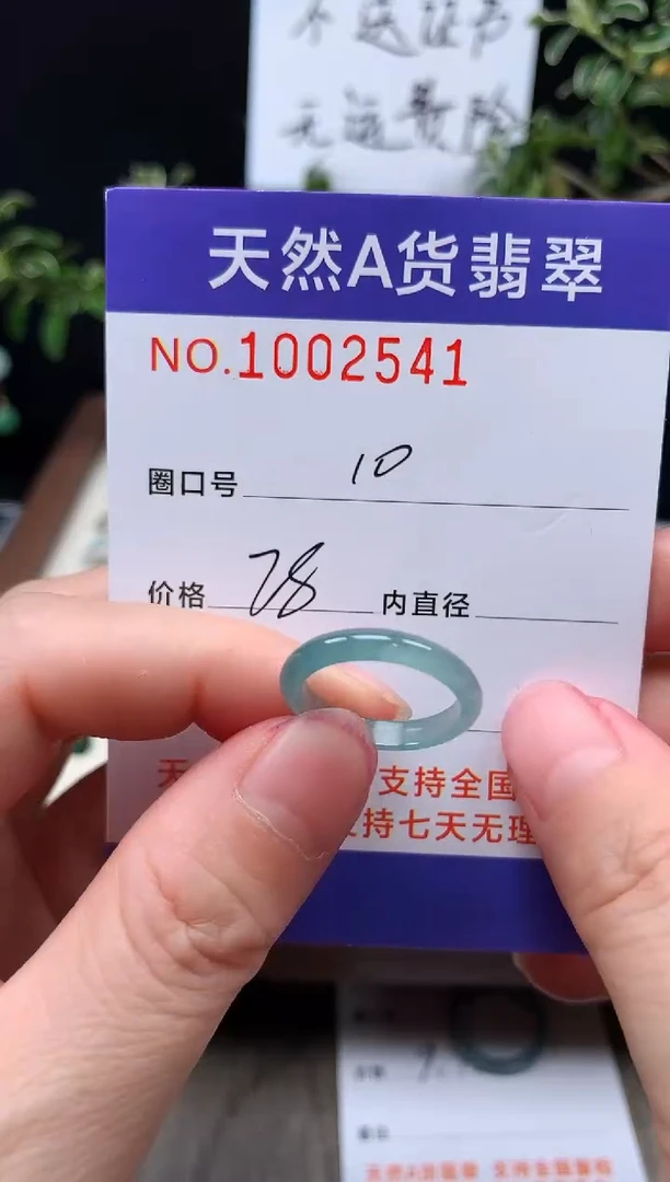 未镶嵌戒指翡翠10#