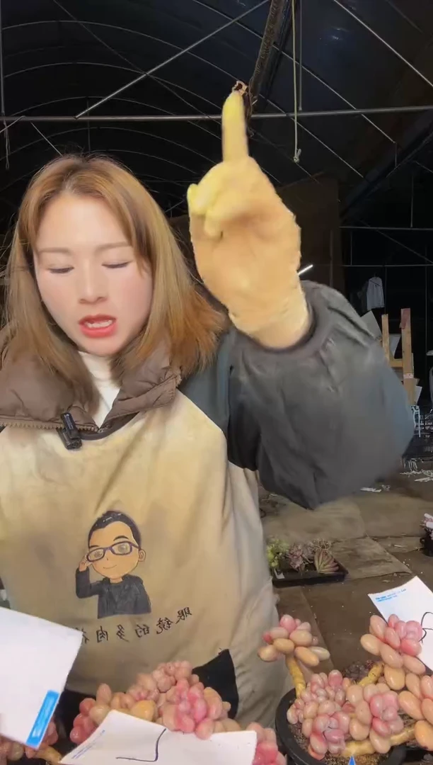 【闪购商品】桃蛋12号一物一拍包邮