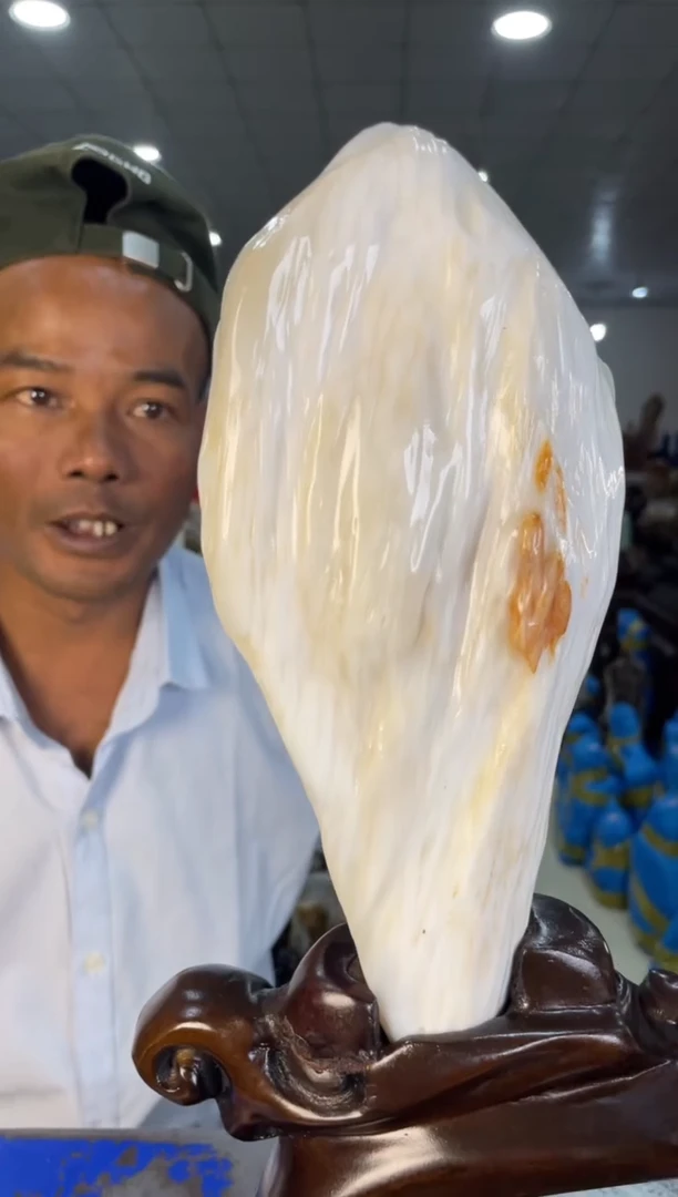 未镶嵌摆件硅化玉50