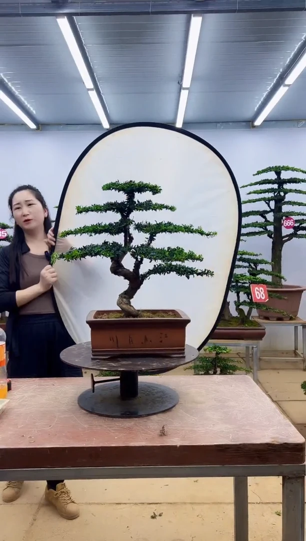 无花朵J***i一物一拍，所见即所得