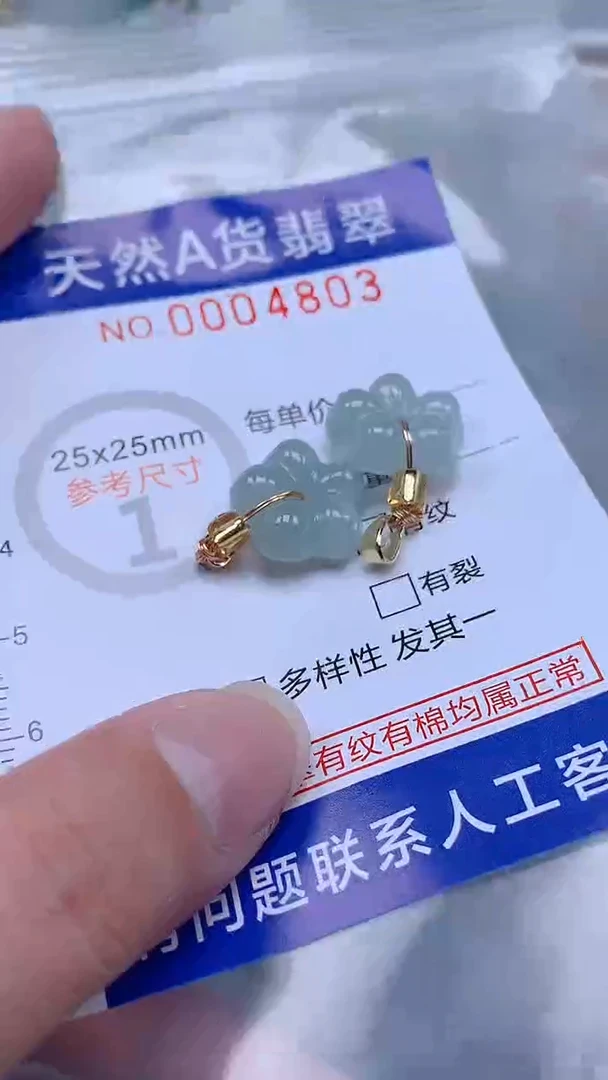 翡翠未镶嵌吊坠(不含链)1