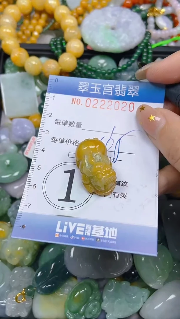 颈饰未镶嵌翡翠闪购C0222020