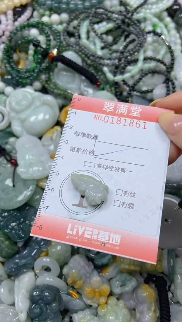 颈饰未镶嵌翡翠闪购0181861