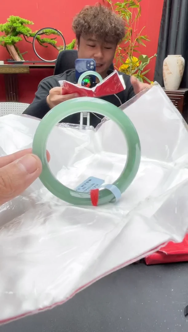 未镶嵌手镯翡翠2