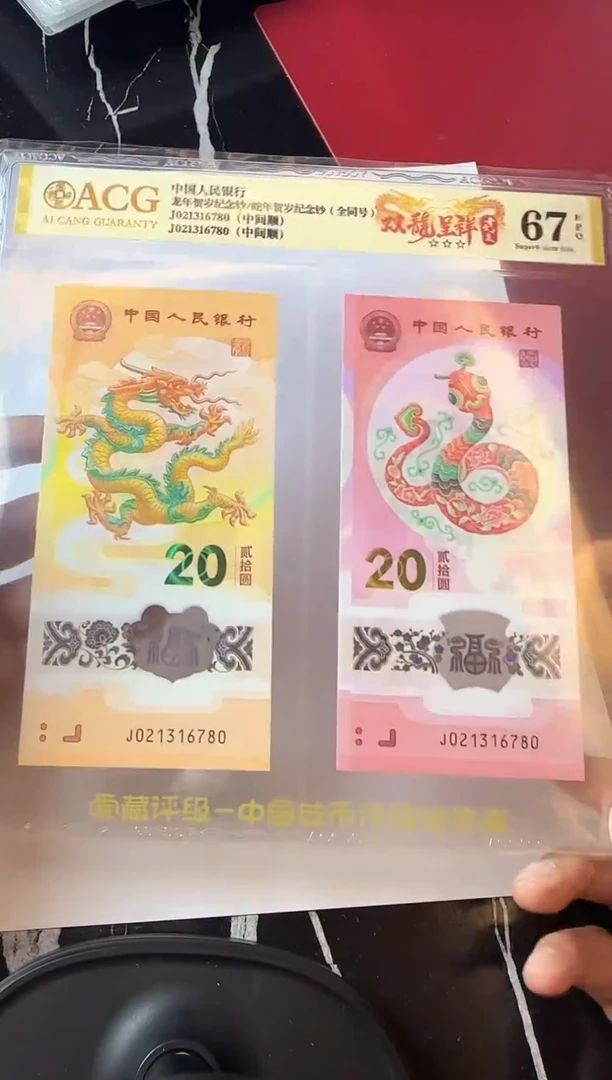 塑料2025 龙蛇全同号一对 如图 啊啊啊啊
