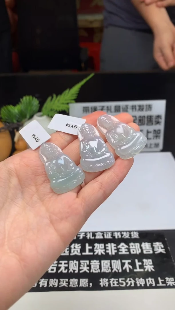 翡翠未镶嵌颈饰---23355多样性发其一