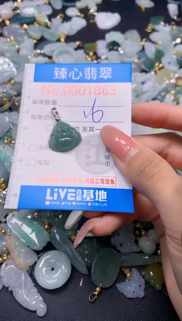 翡翠未镶嵌颈饰1863