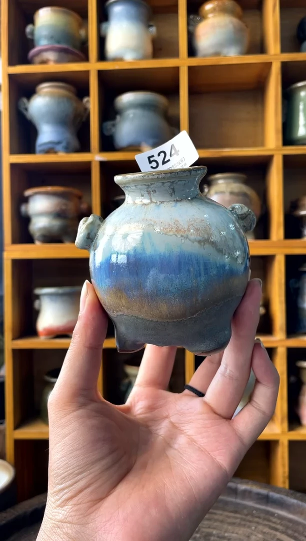 陆*儿524【多肉花盆多肉盆】