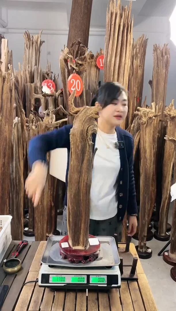 【闪购商品】沉香摆件沉香摆件多样性发一件22