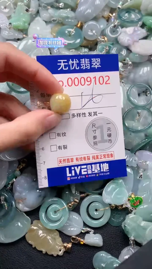 颈饰未镶嵌翡翠9102