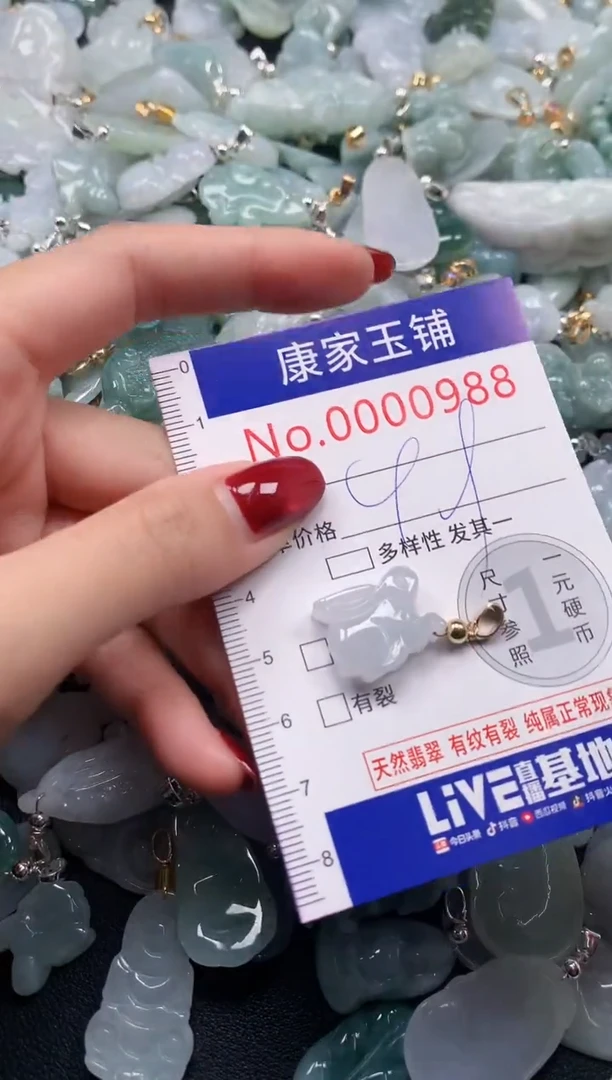 颈饰未镶嵌翡翠988