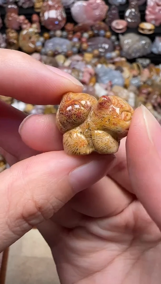 颈饰未镶嵌硅化珊瑚（珊瑚玉）760