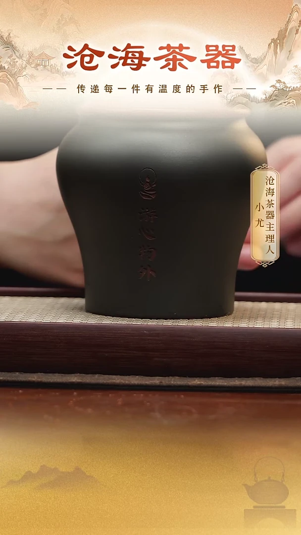 茶壶紫砂XC 一蓑烟雨任平生 墨绿