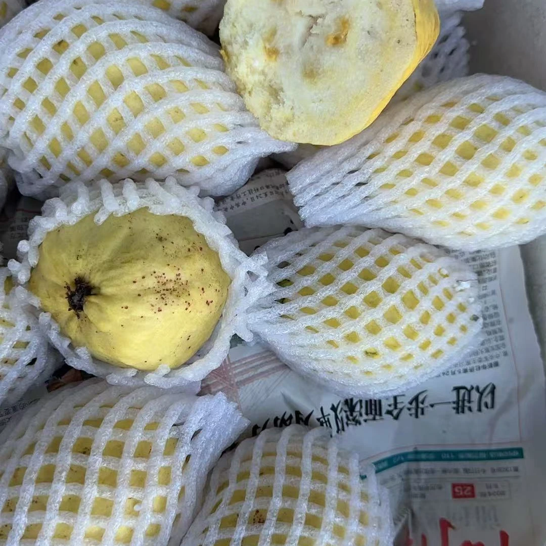 白心大树熟奶油芭乐一箱约3斤新（动）