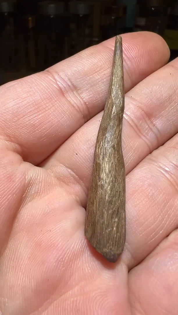 沉香沉香碎屑达拉干0.5克