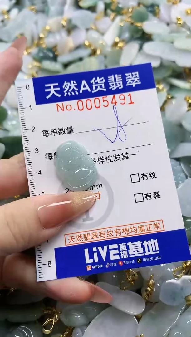 颈饰未镶嵌翡翠天然A货翡翠