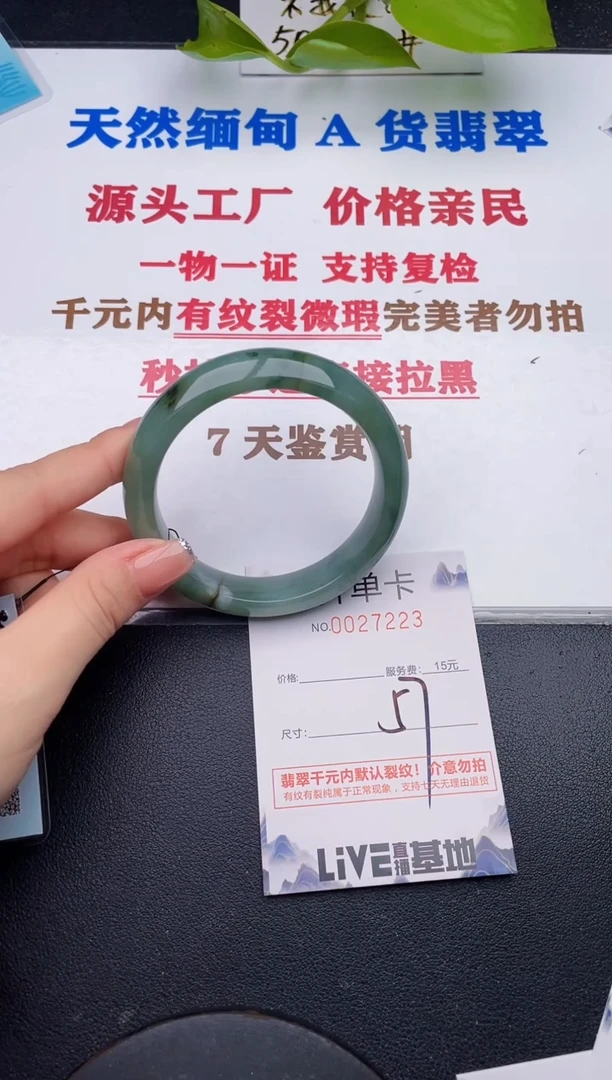 未镶嵌手镯翡翠23